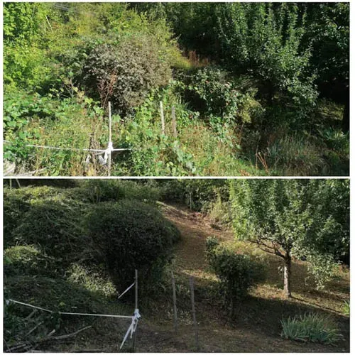 Fournier Multi Services -réalisations (53)webp